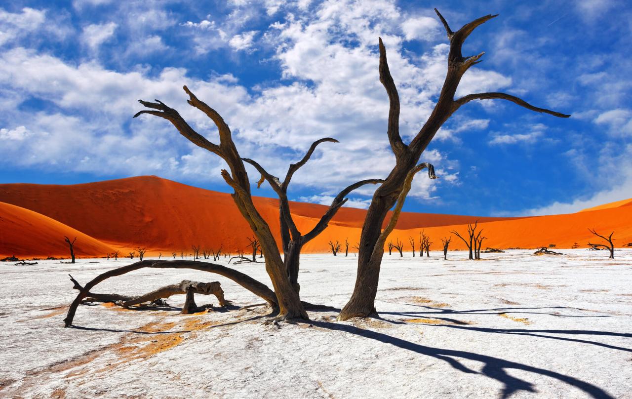 Namibie