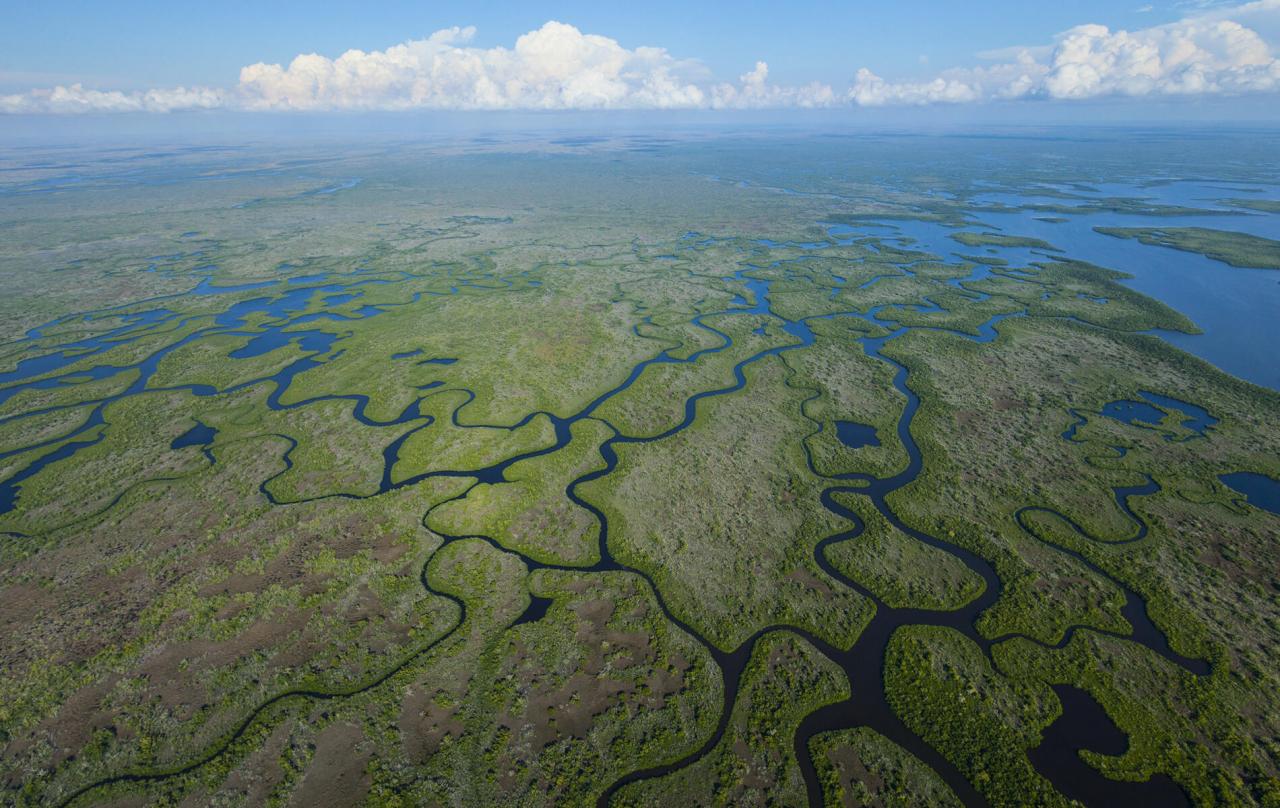 Floride