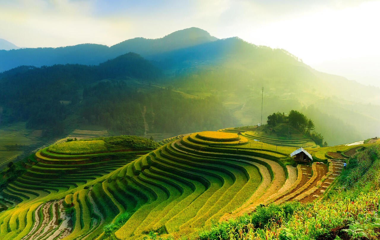 Vietnam