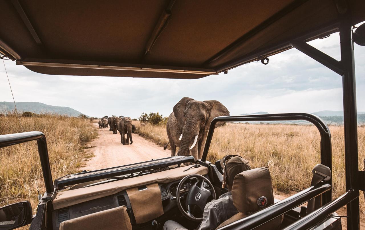 Afrique du Sud
