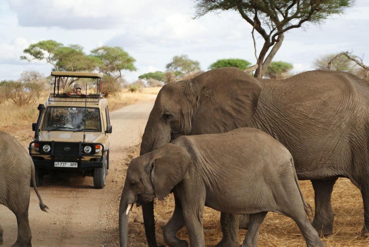 Tanzanie