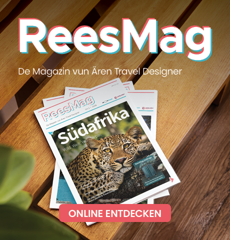 ReesMag Nr3