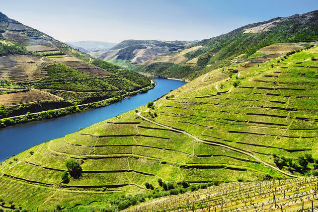 La Vallée du Douro