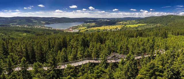 Bayerischer Wald