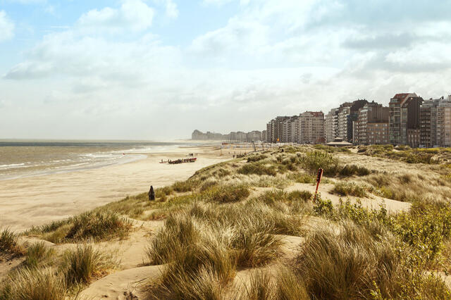Belgische und Niederländische Nordseeküste