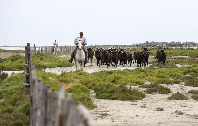 Incontournables du Rhône
