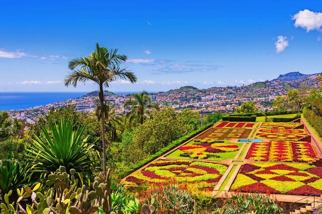 Blumeninsel Madeira