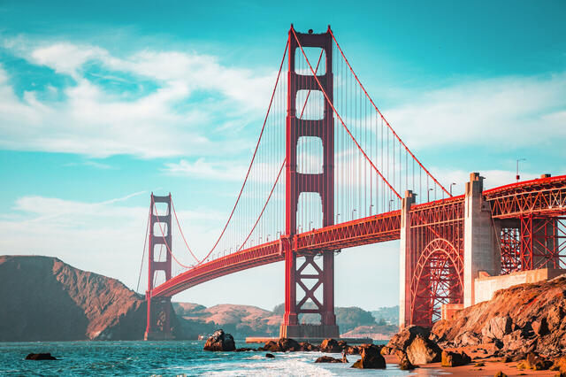 MSC Magnifica : World Cruise