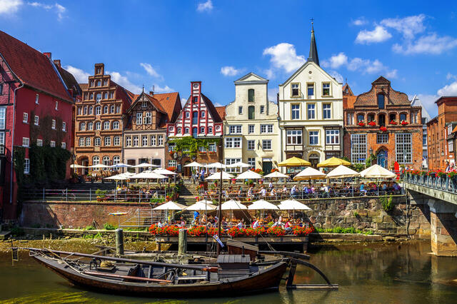Heideblüte in der Lüneburger Heide