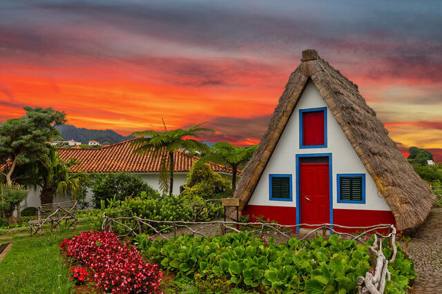Blumeninsel Madeira
