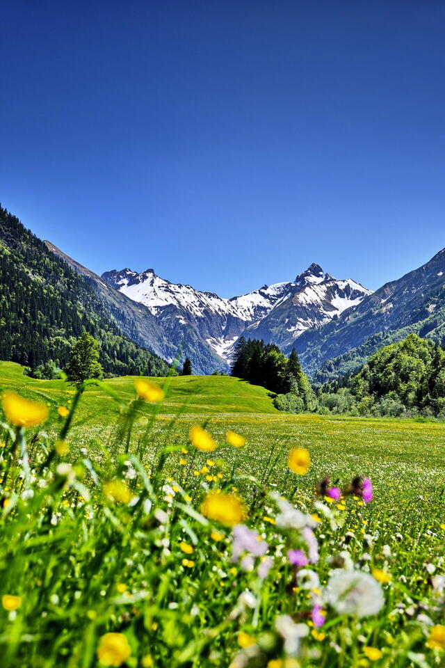 Rundreise Kleinwalsertal