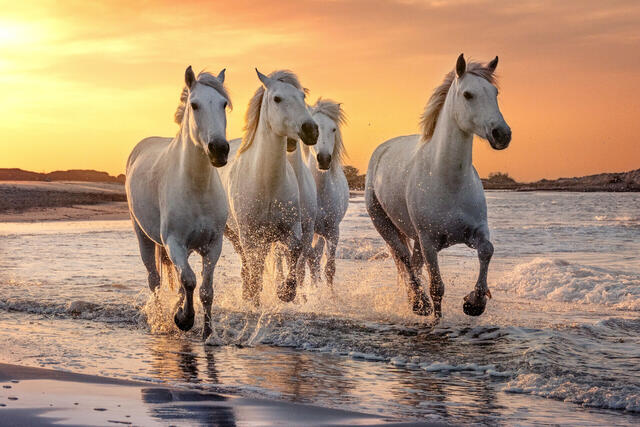 Südfrankreich entlang der Rhône