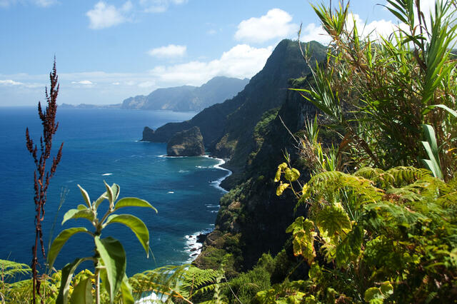 Blumeninsel Madeira
