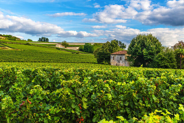 Bordeaux, San Sébastien und Bilbao