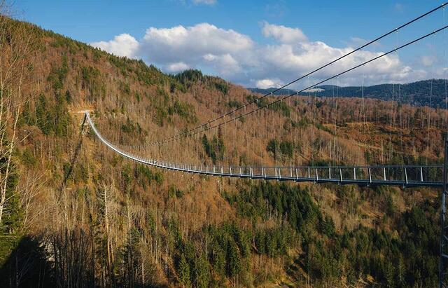Genusswandern im Schwarzwald