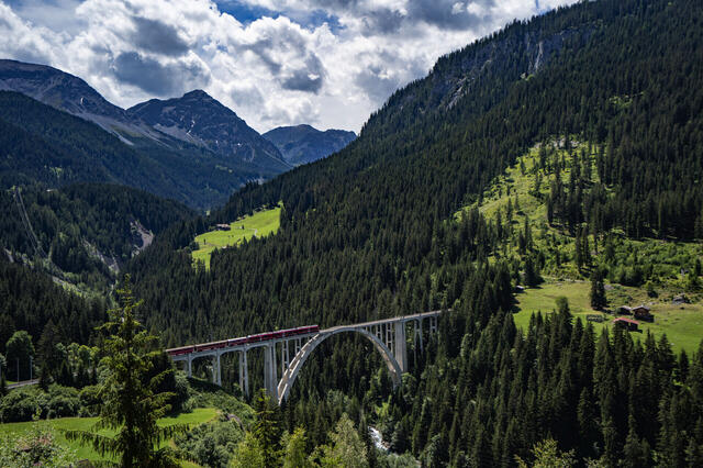 Alpenpanorama mit Bernina, Glacier und Arosa Express
