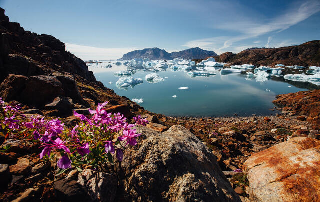 Die große Reise nach Grönland