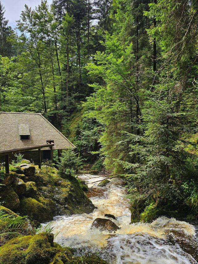 Genusswandern im Schwarzwald