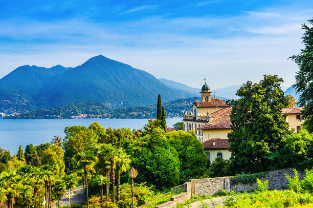Tulpenblüte am Lago Maggiore