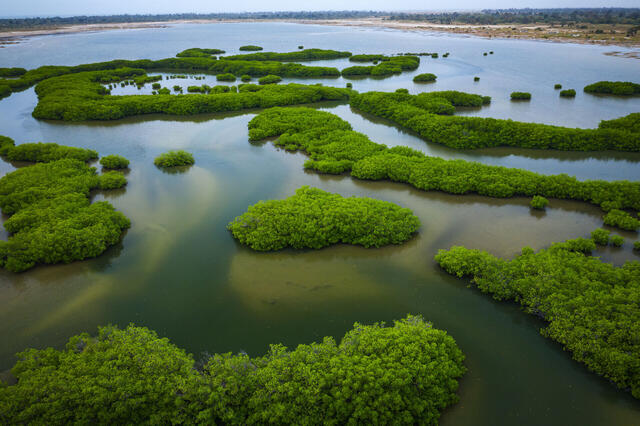 Aventure Africaine Gambie & Delta du Saloum