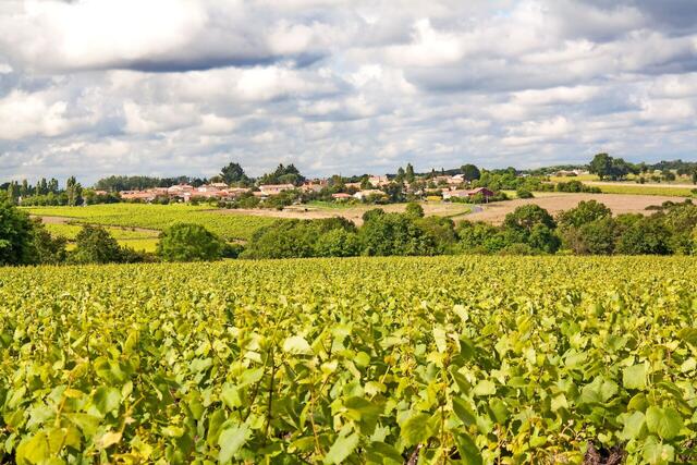 Von Nantes bis zur Atlantikküste