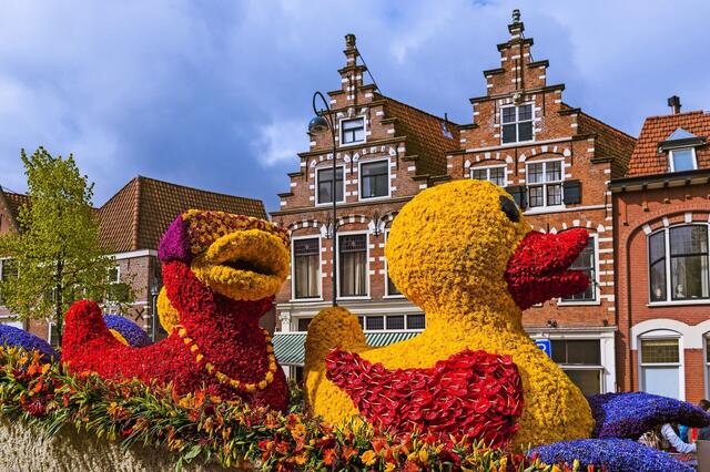 ACL - Blütenpracht in Holland