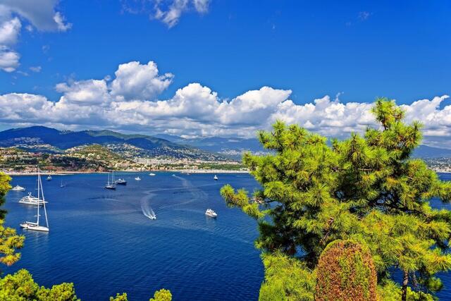 La Côte d’azur et la Fête du Mimosa