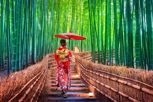 Bamboo Forest. Asian woman wearing japanese traditional kimono at Bamboo Forest in Kyoto, Japan.