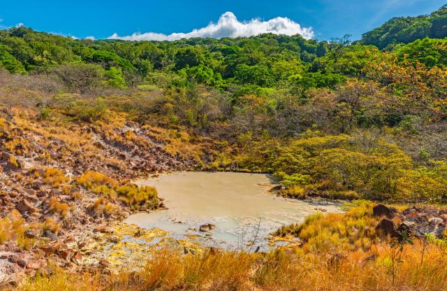 A volcanic sulphur lake in Rincon de la Vieja National Park near Liberia, Guanacaste, Costa Rica.