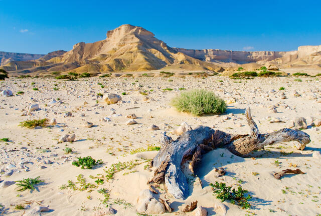 Wadi Shuwaymiyah