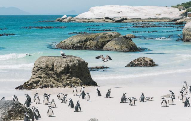 Afrique du Sud