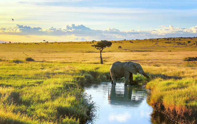 Kenya