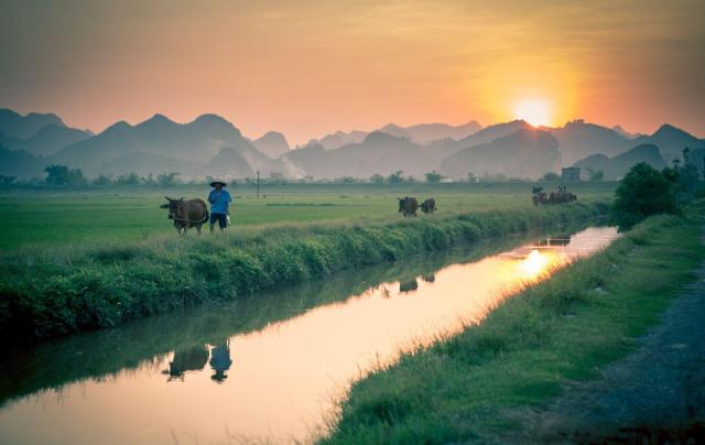 Vietnam
