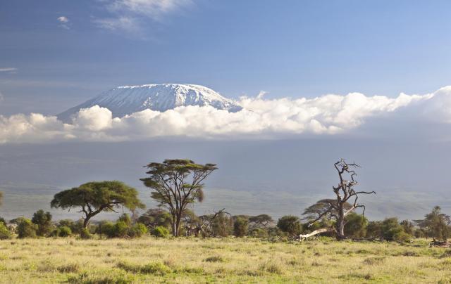 Tanzanie