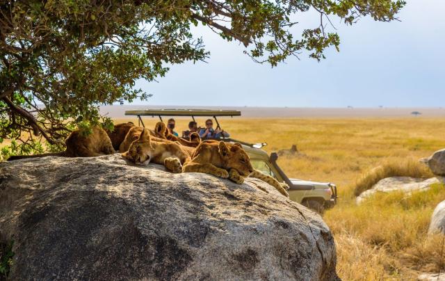 Tanzanie