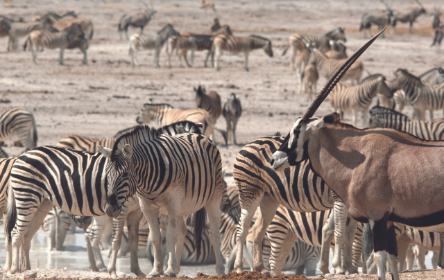 Namibie