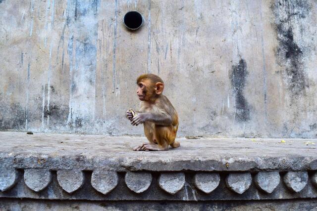 Inde