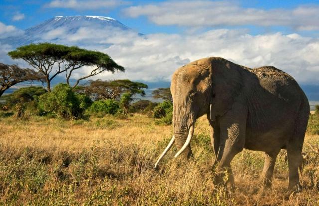 Tanzanie