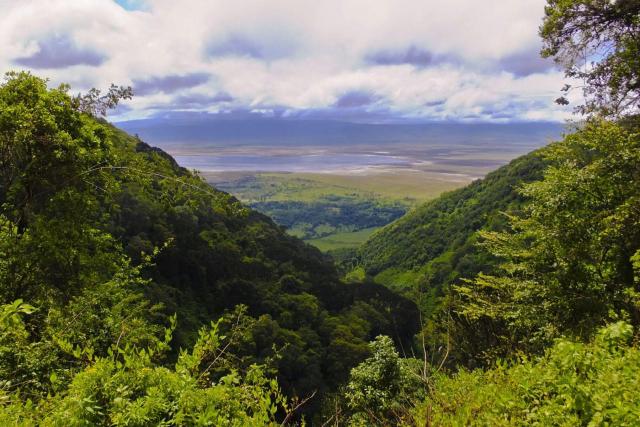Tanzanie