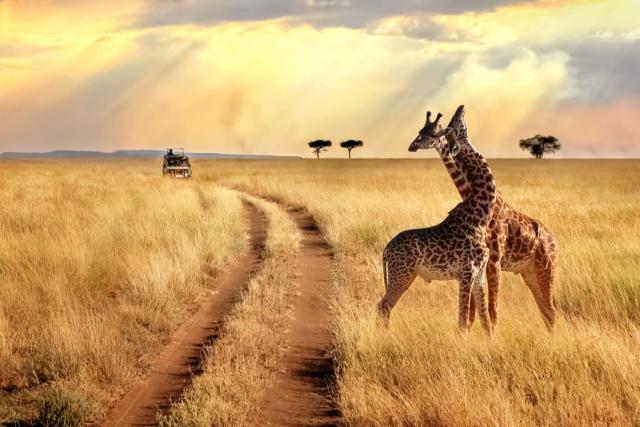 Tanzanie
