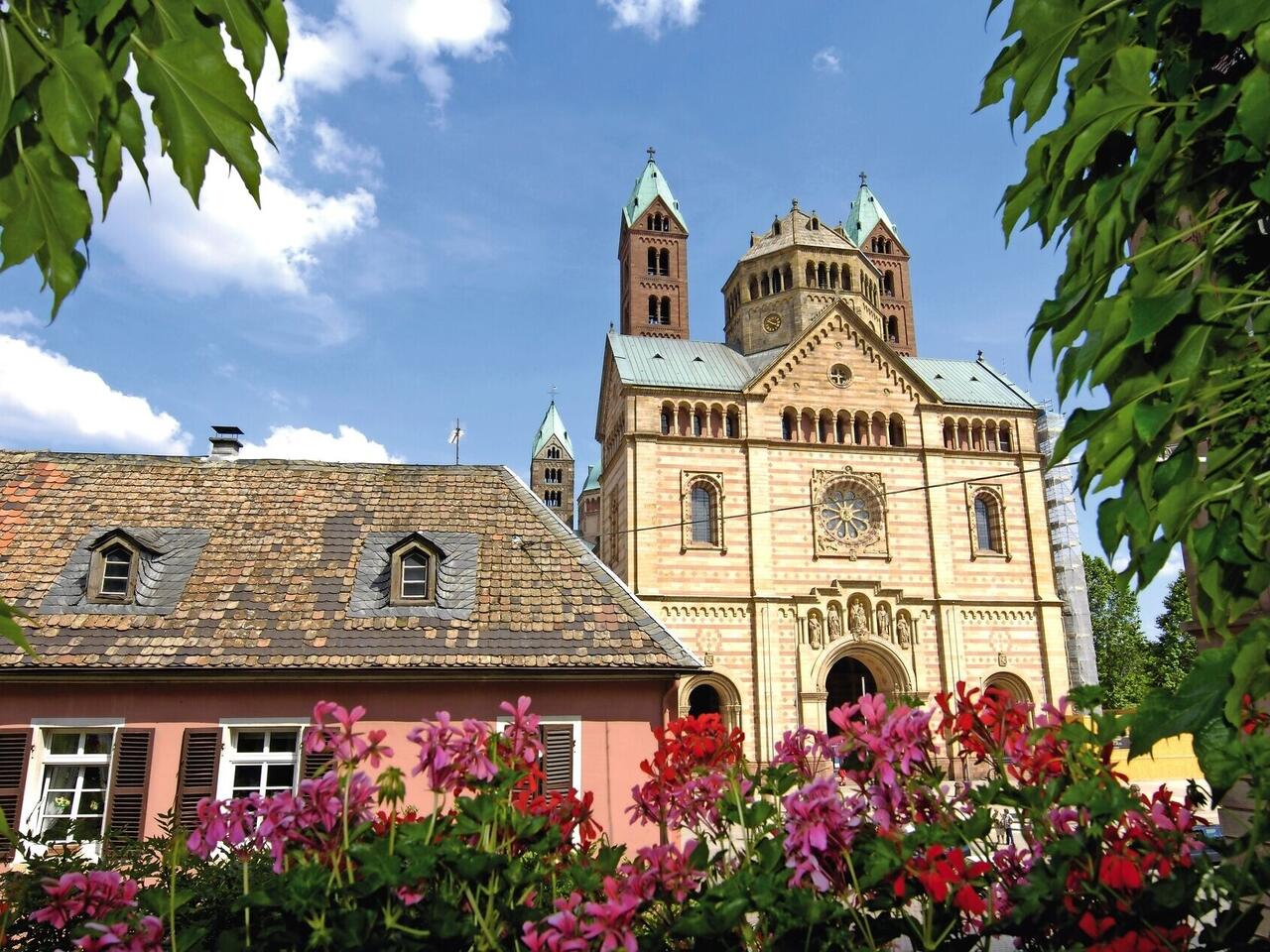 Zur Mandelblüte in die Pfalz