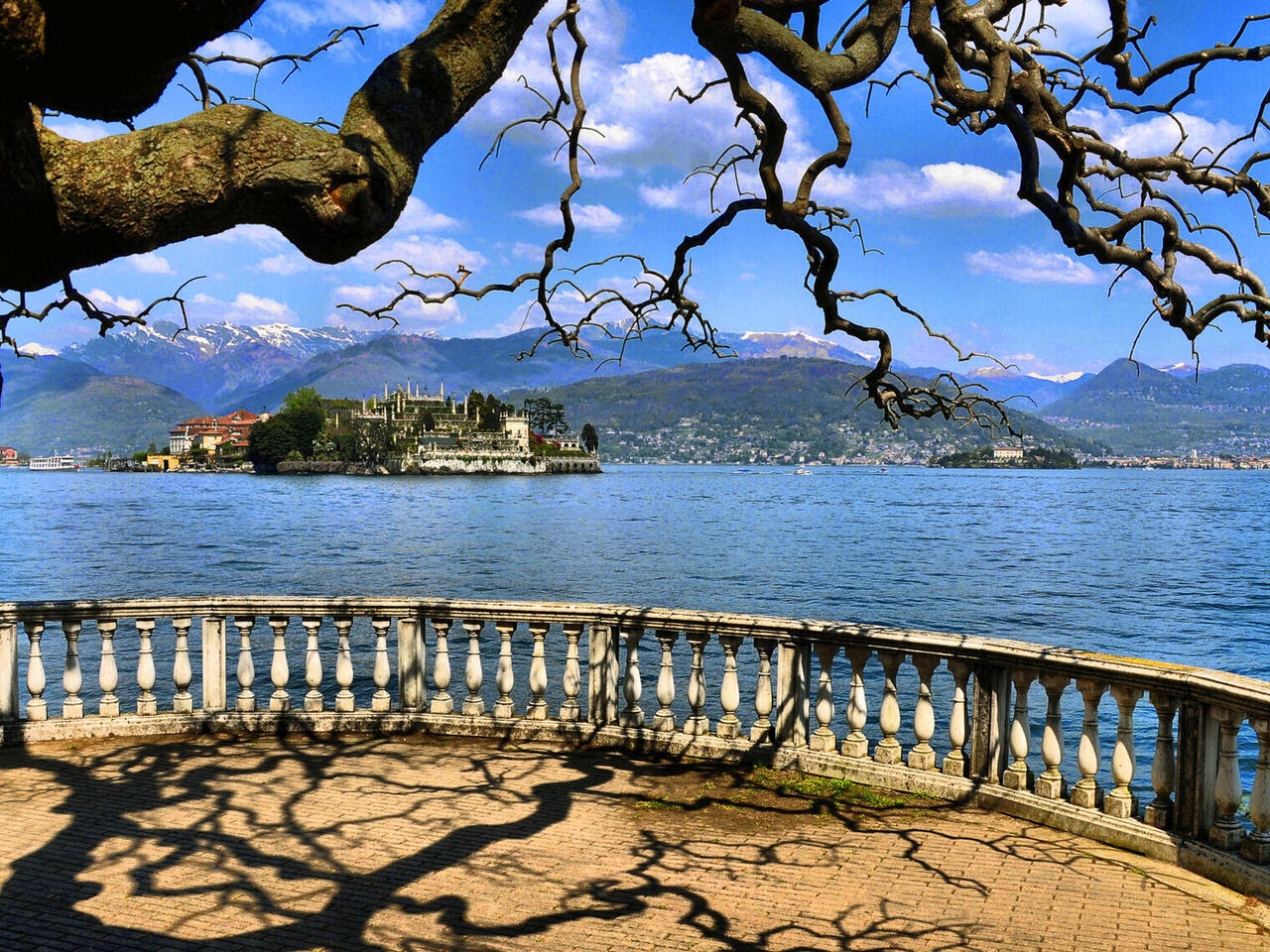 Kamelienblüte am Lago Maggiore