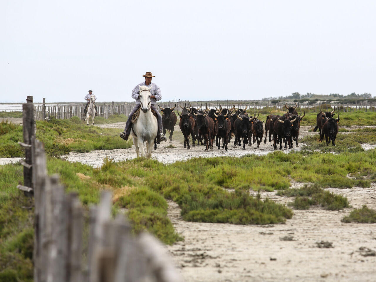Incontournables du Rhône