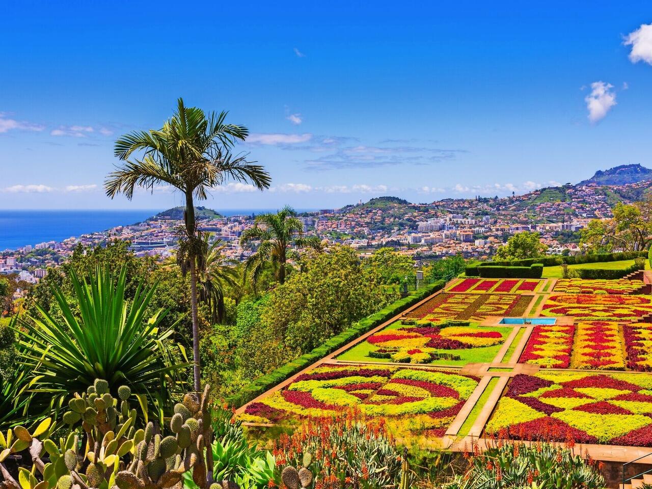 Blumeninsel Madeira