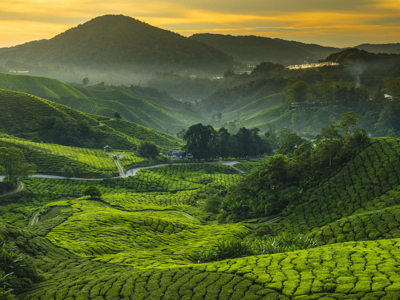 Entdeckerreise durch Malaysia & Borneo