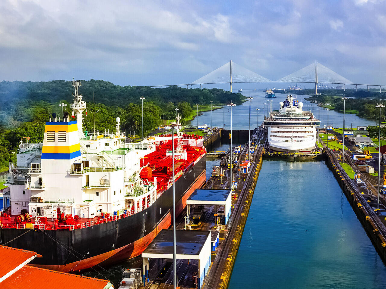 MSC Magnifica : World Cruise