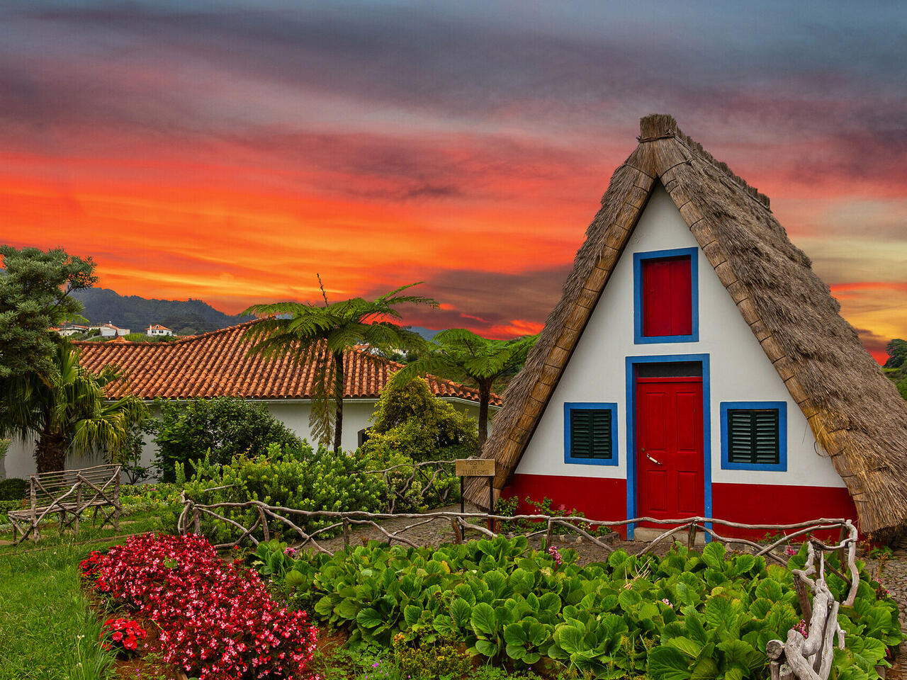 Blumeninsel Madeira