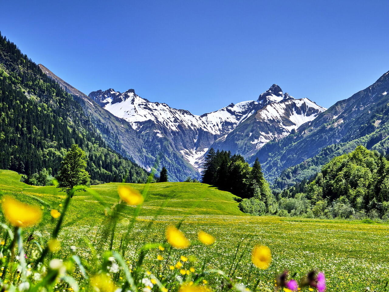 Rundreise Kleinwalsertal
