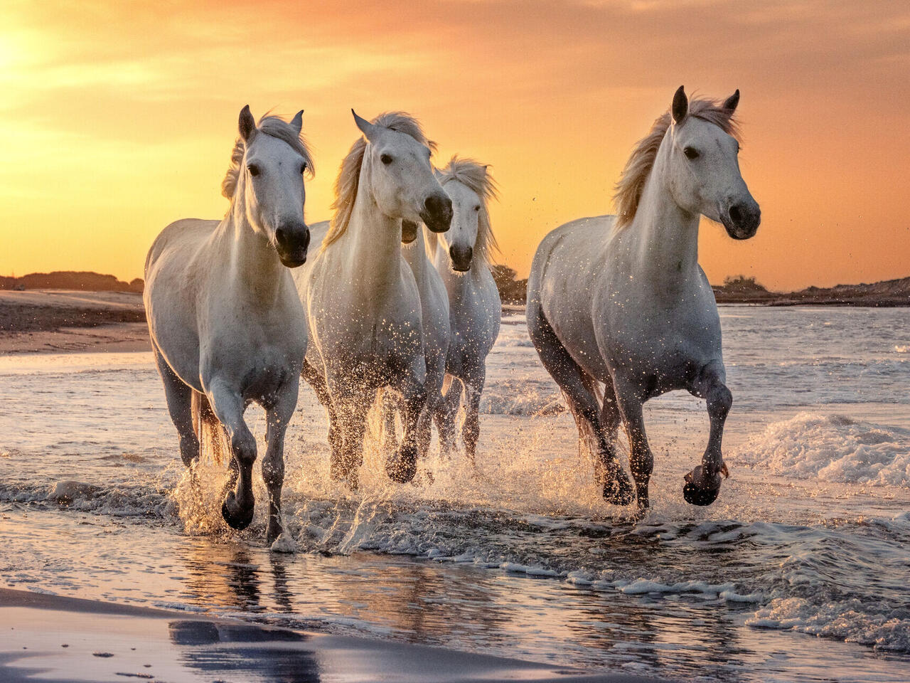 Südfrankreich entlang der Rhône