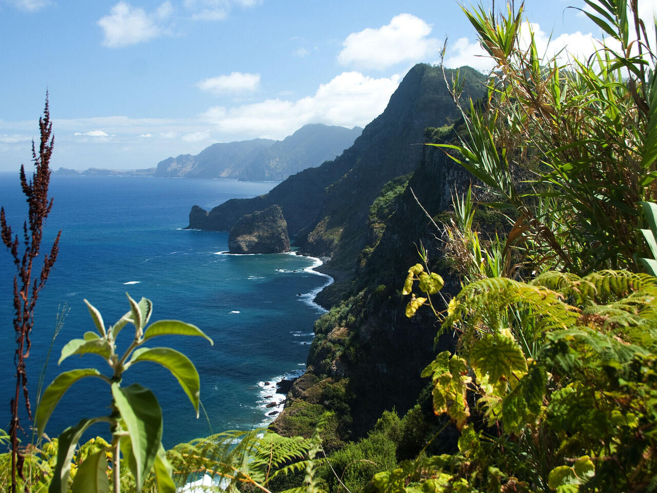 Madeira hautnah